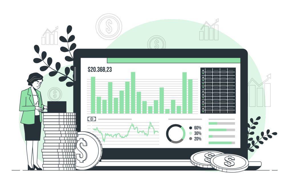 Accounting software